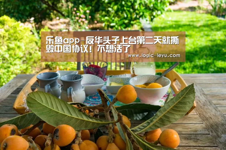 乐鱼app-反华头子上台第二天就撕毁中国协议!不想活了(图1) 乐鱼电竞