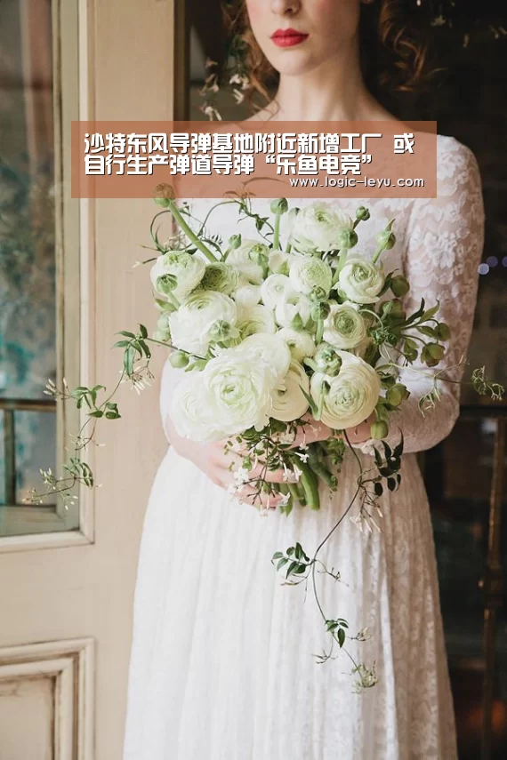 沙特东风导弹基地附近新增工厂 或自行生产弹道导弹“乐鱼电竞”(图3) 乐鱼app
