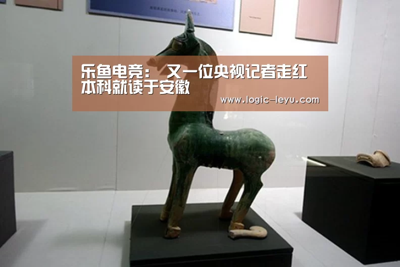 乐鱼电竞:
又一位央视记者走红 本科就读于安徽(图5) 乐鱼电竞